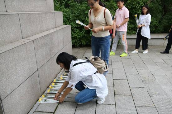 IMG_6833_wps图片